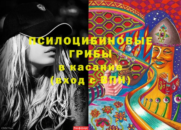 дживик Аркадак