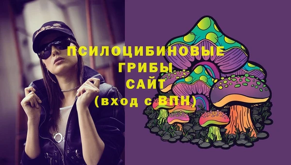 стафф Алзамай