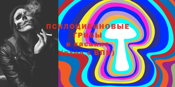 дживик Аркадак