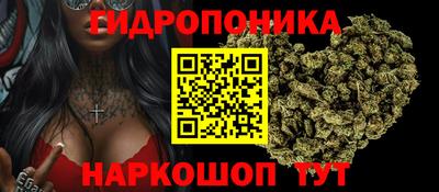ALPHA PVP Моздок