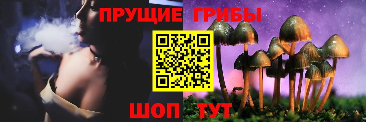 Галлюциногенные грибы Psilocybe  Вход с VPN  Темрюк 